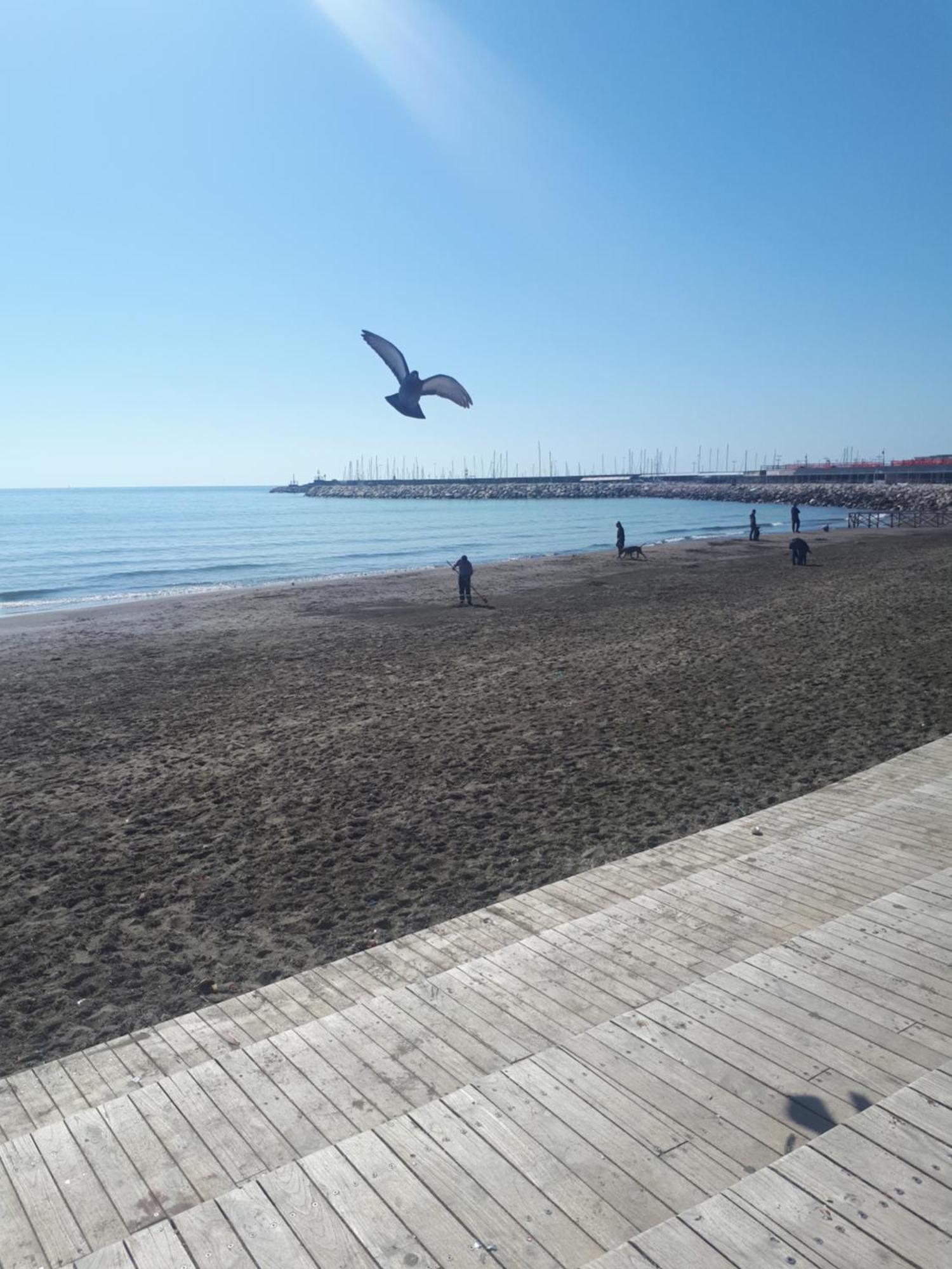 Salerno Centraal Apartment Eksteriør billede